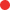 Red Bullet